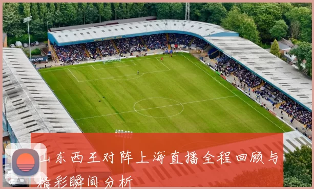 山东西王对阵上海直播全程回顾与精彩瞬间分析