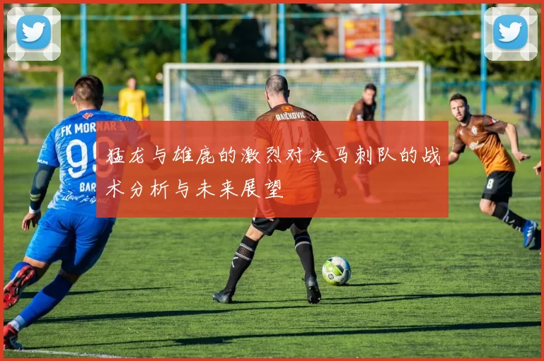 猛龙与雄鹿的激烈对决马刺队的战术分析与未来展望